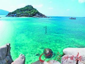 个大味美叫“龙蚝” 就藏在咱们这片海